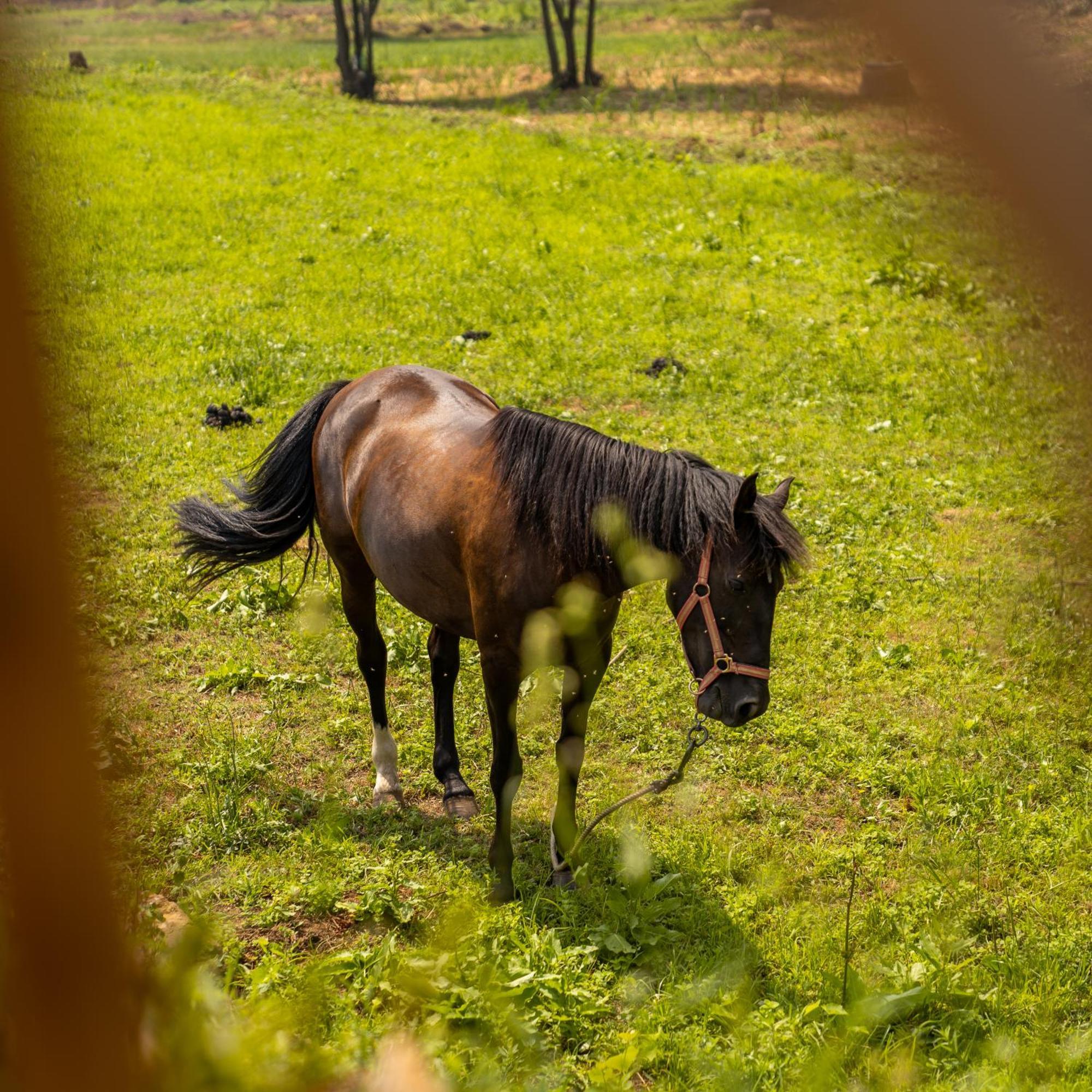 מלון Sandim Bruval Eco Retreat מראה חיצוני תמונה