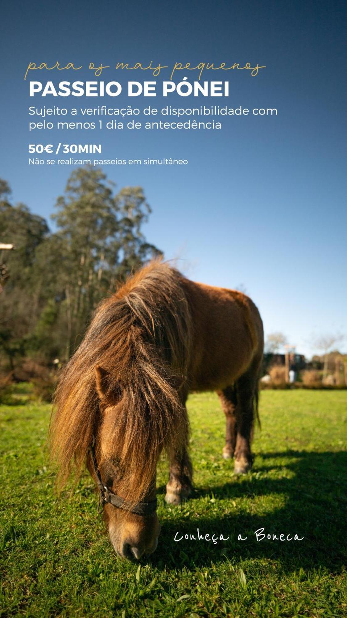 מלון Sandim Bruval Eco Retreat מראה חיצוני תמונה